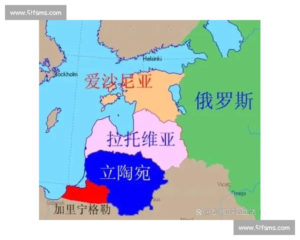 丹麦对阵波兰谁更强实力对比与战术风格全面解析历史交锋与近期状态观察
